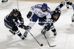 PG电子游戏-紫百合客场绽放寒意 力克强敌跻身欧战之林